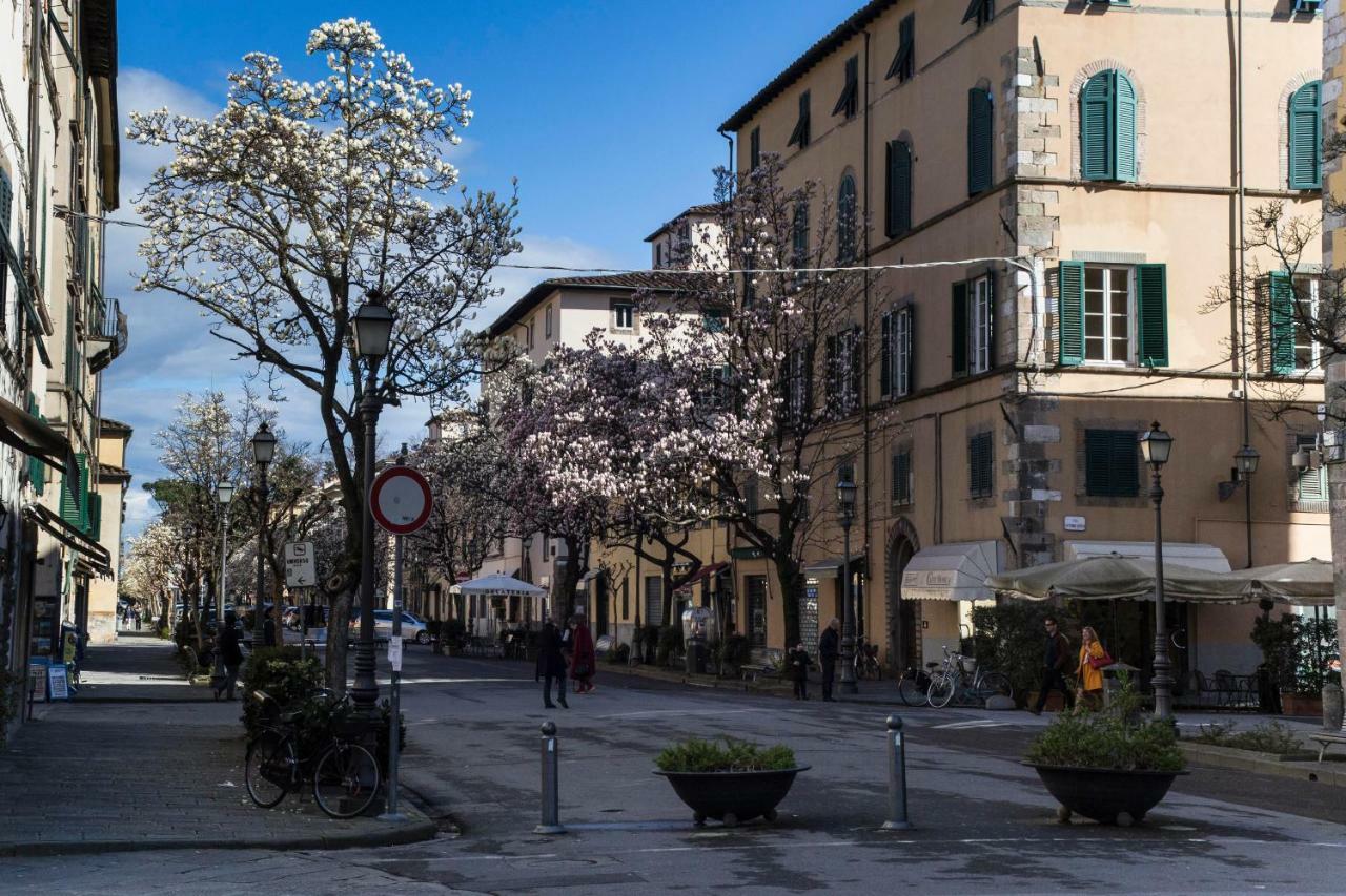 Casa Sophie Appartement Lucca Buitenkant foto
