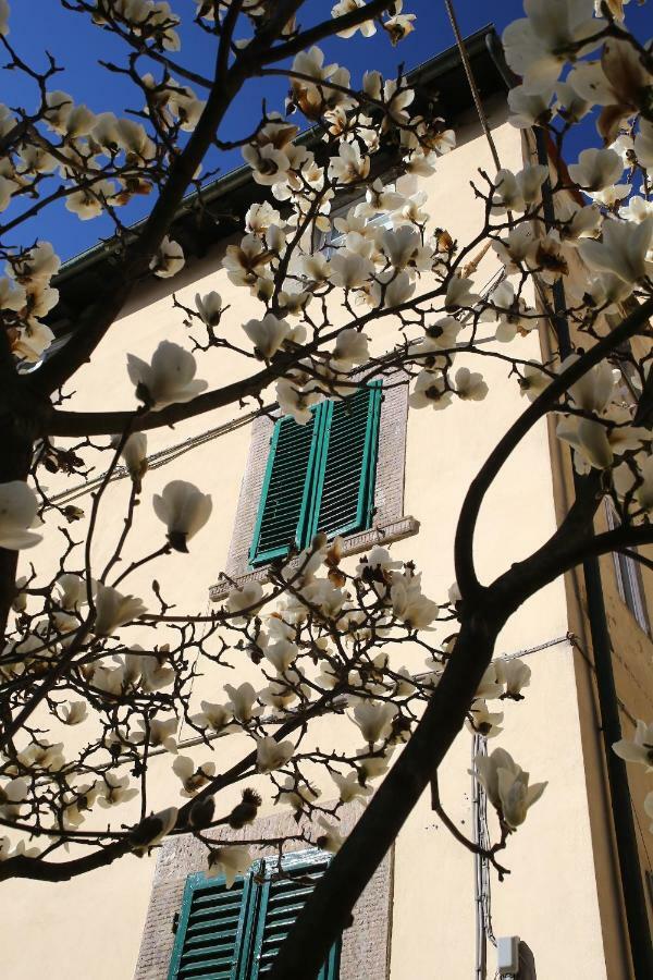 Casa Sophie Appartement Lucca Buitenkant foto